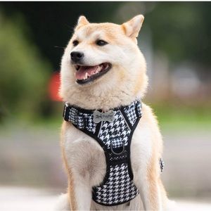 Dog Harness